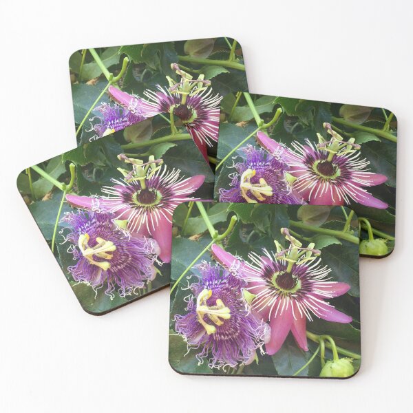 Item preview, Passion designed and sold by Alliecat Arts.
