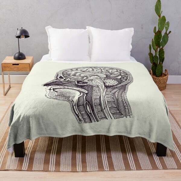 Item preview, Normal Anatomy of Human Brain - Vintage Print 2 designed and sold by VAposters.