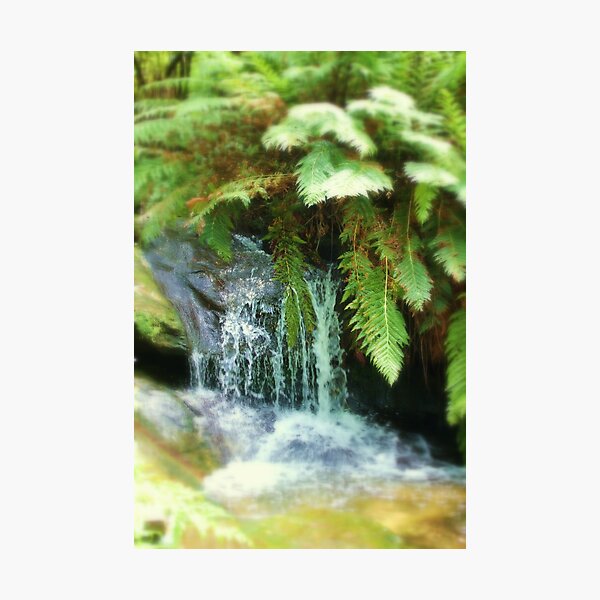 Item preview, Leura Cascades designed and sold by Sally Haldane.