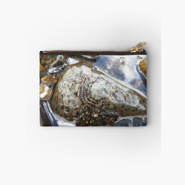 Item preview, Hatch designed and sold by Kathryn Shaw - Wildflies.
