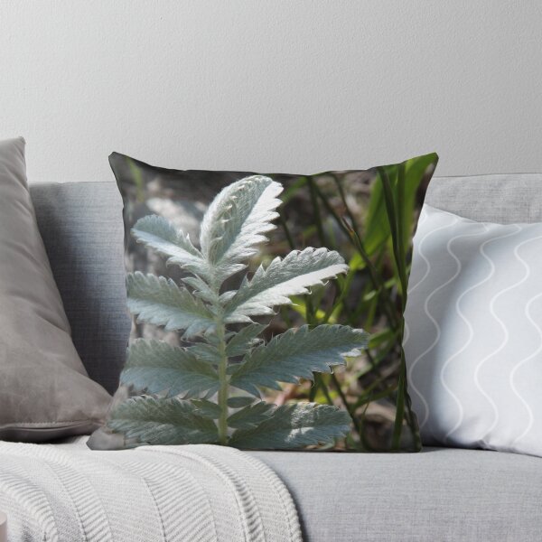 Item preview, Fern designed and sold by Kathryn Shaw - Wildflies.