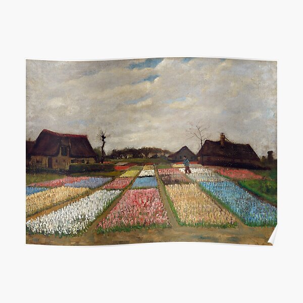 Vincent Van Gogh - Bulb Fields - Beautiful Tulip Fields! Poster