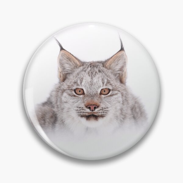 Artikelvorschau, Luchs Kätzchen entworfen und verkauft von mlorenz.