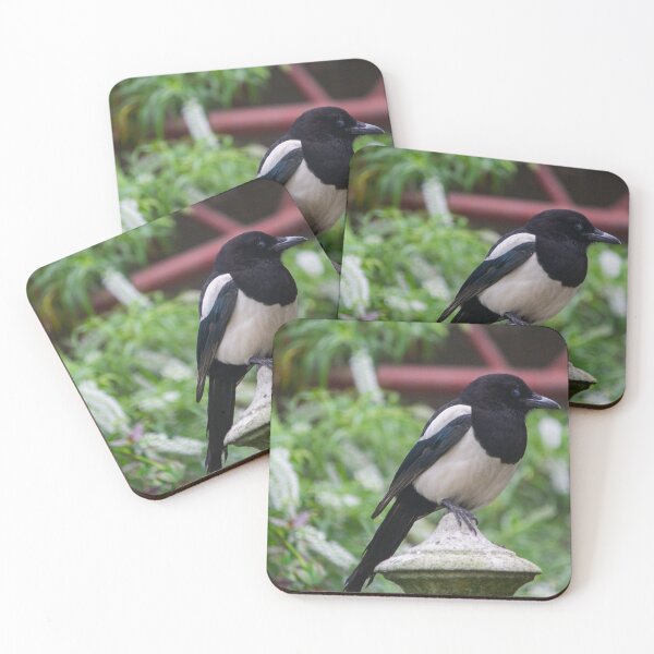 Item preview, Large Magpie designed and sold by Hailey Nicole  Photography.
