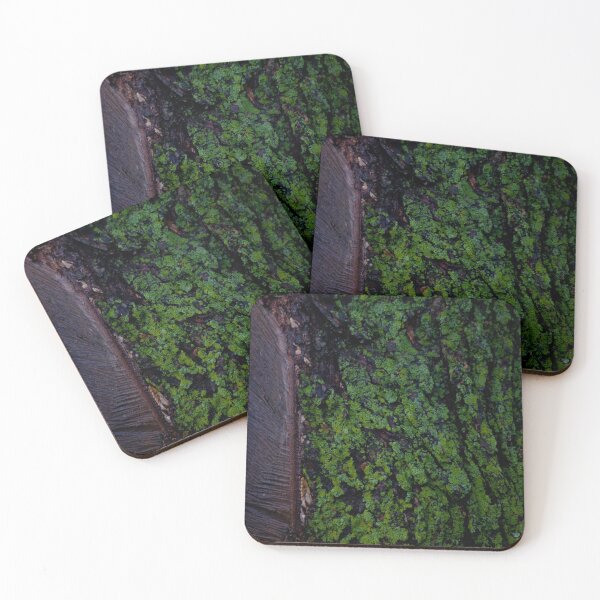 Item preview, Moss Covered Tree designed and sold by Hailey Nicole  Photography.