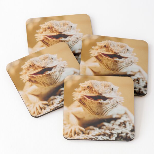 Item preview, Sonrisa de dragón barbudo designed and sold by Hailey Nicole Photography.