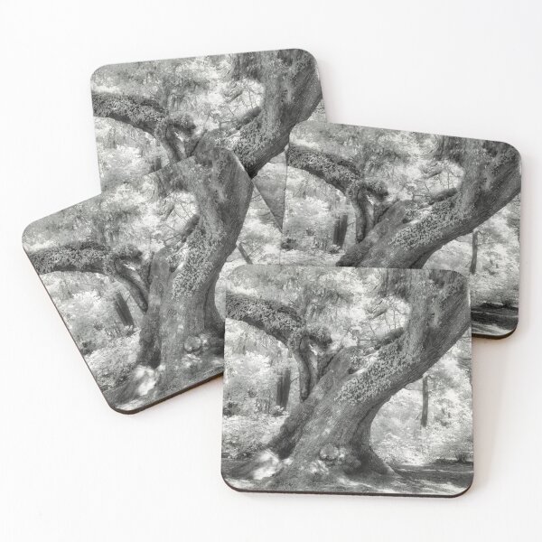 Item preview, Oak in Infrared designed and sold by Gerard Fornarotto.