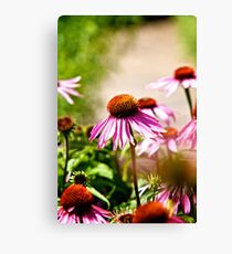 Lienzo Floral | Daisy