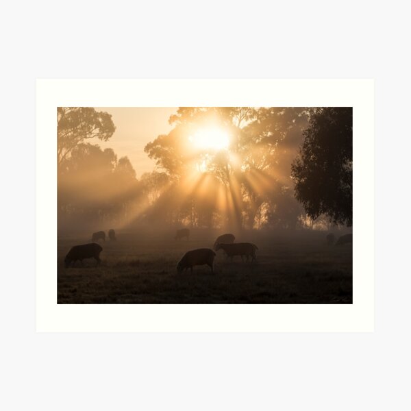 The Year's First Fog Art Print