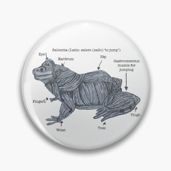 Item preview, Anatomy of a Frog  designed and sold by Jeffrey Louis Salkilld.