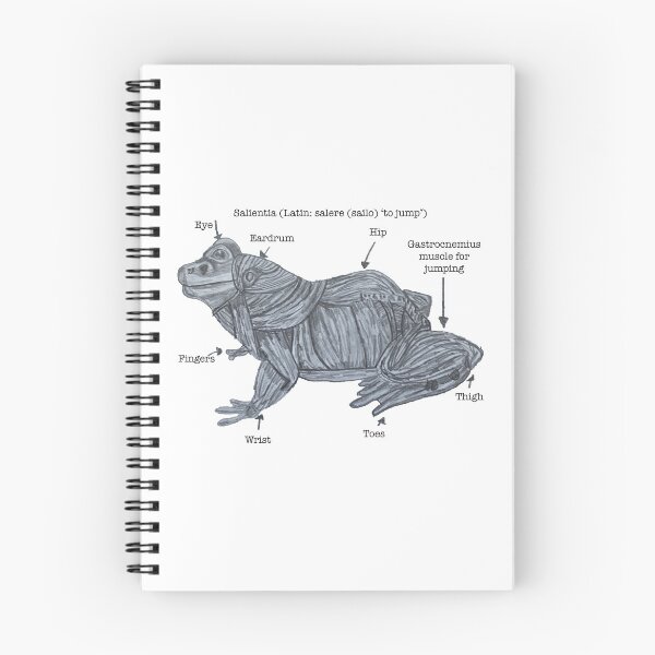 Item preview, Anatomy of a Frog  designed and sold by Jeffrey Louis Salkilld.