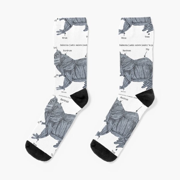Anatomy of a Frog Socks