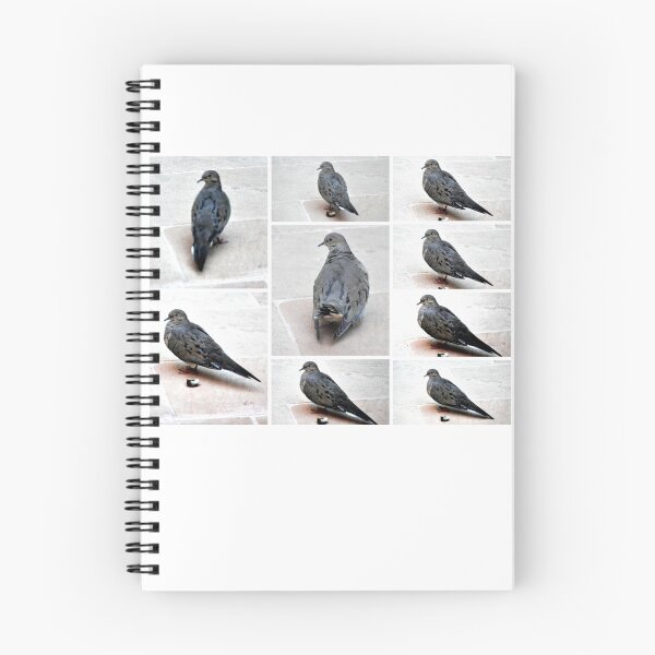Item preview, A COLLAGE OF A MOURING DOVE IN THE GARDEN designed and sold by JAYMILO.