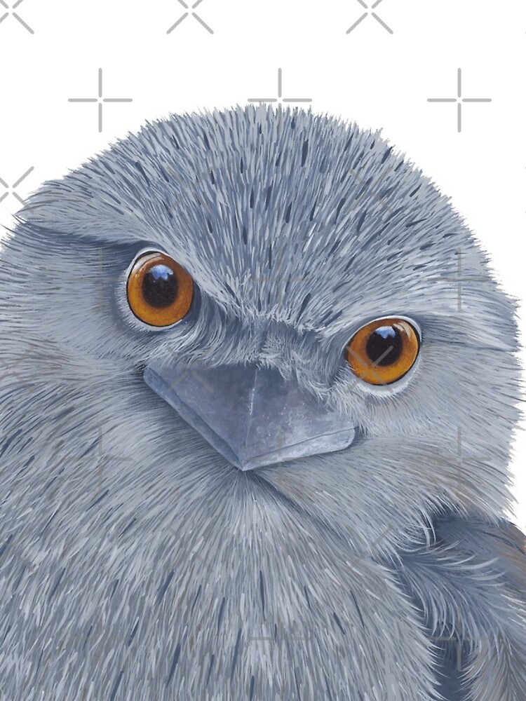 Thumbnail 4 of 4, iPhone Case, Tawny Frogmouth designed and sold by Nicole Grimm-Hewitt.