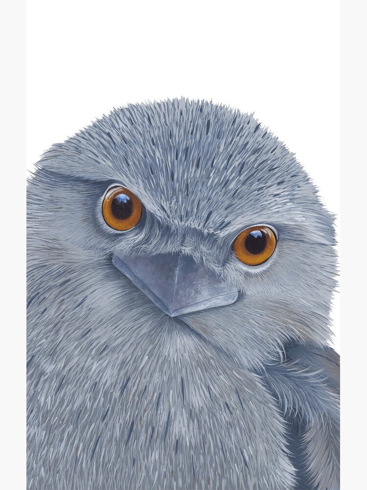 Artwork view, Tawny Frogmouth designed and sold by Nicole Grimm-Hewitt