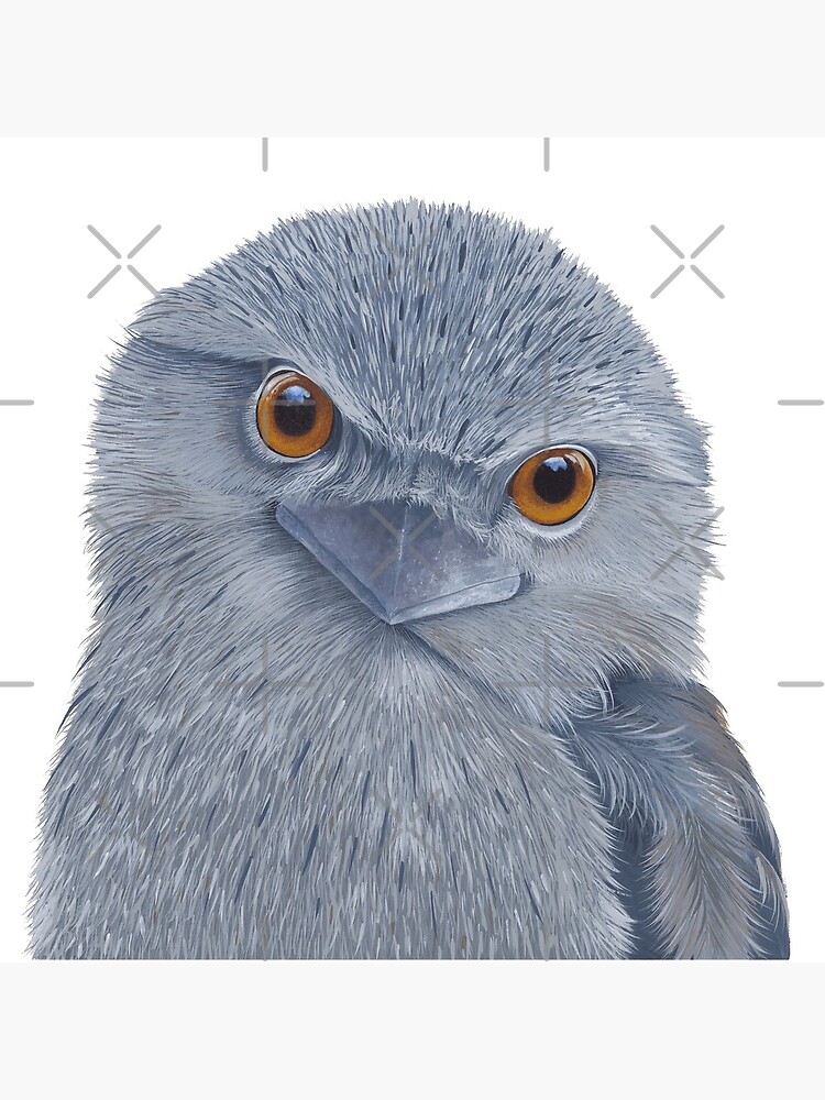 Thumbnail 5 of 5, Coasters (Set of 4), Tawny Frogmouth designed and sold by grimmhewitt67.