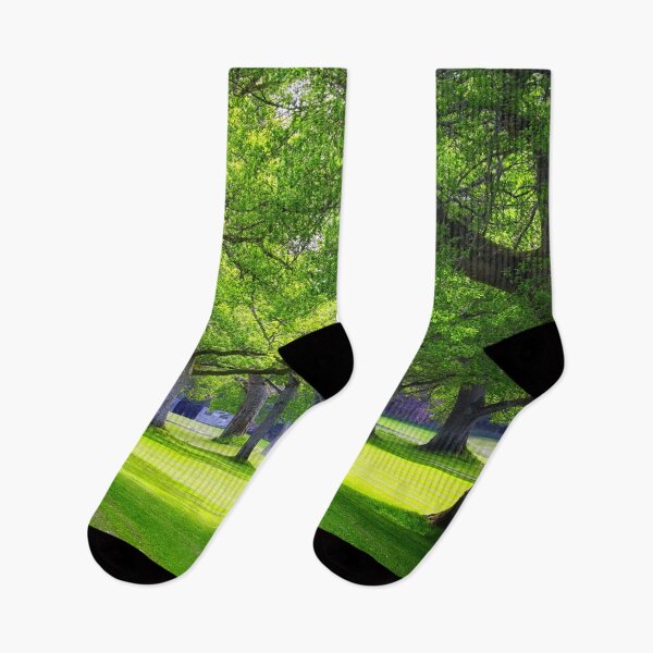 Item preview, Park, Glamis Castle Garden, Scotland, UK designed and sold by Yannik Hay.
