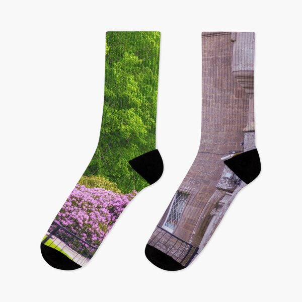 Item preview, Hydrangea, Glamis Castle Garden, Scotland, UK designed and sold by Yannik Hay.