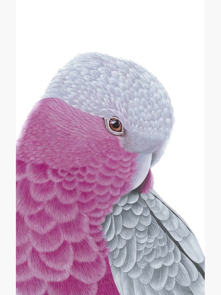 Thumbnail 4 of 4, Samsung Galaxy Phone Case, Galah - Pink and Grey designed and sold by grimmhewitt67.