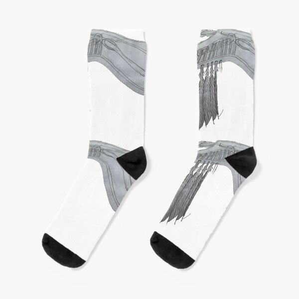 Anatomy of a Bird Socks