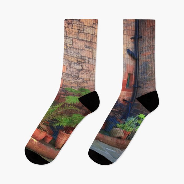Item preview, Potted Plants, Dean's Village, Edinburgh, Scotland, UK designed and sold by Yannik Hay.