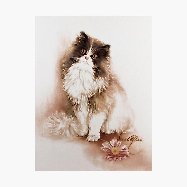 Photographic Print