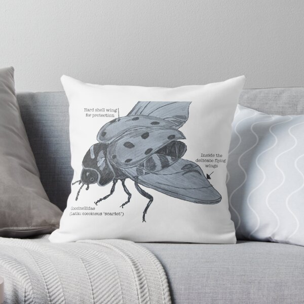 Anatomy of a Ladybird  Throw Pillow