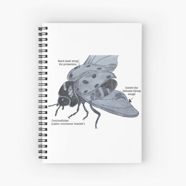 Anatomy of a Ladybird  Spiral Notebook