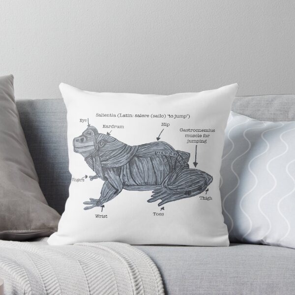 Item preview, Anatomy of a Frog  designed and sold by Jeffrey Louis Salkilld.