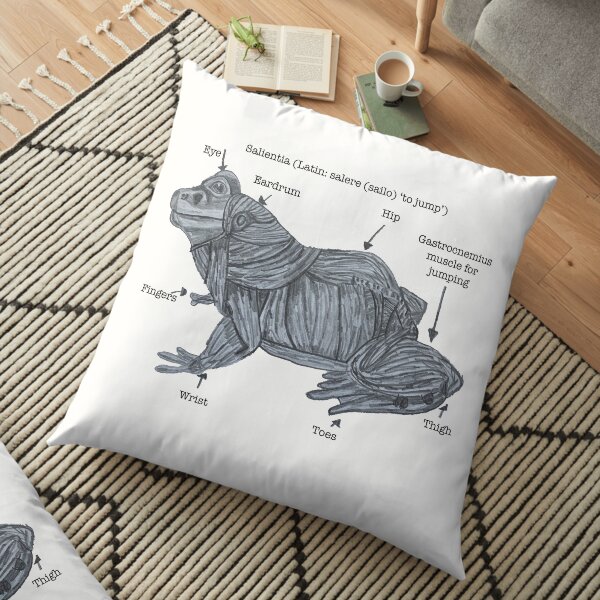 Anatomy of a Frog Floor Pillow