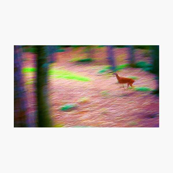 The Deer Running Photographic Print