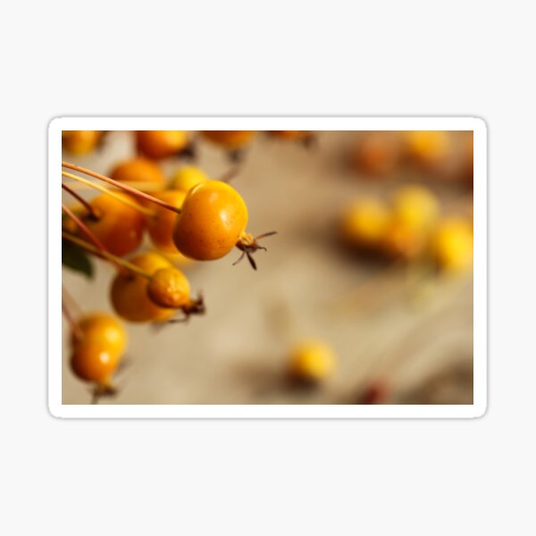 Item preview, Orange berries designed and sold by vm2002.