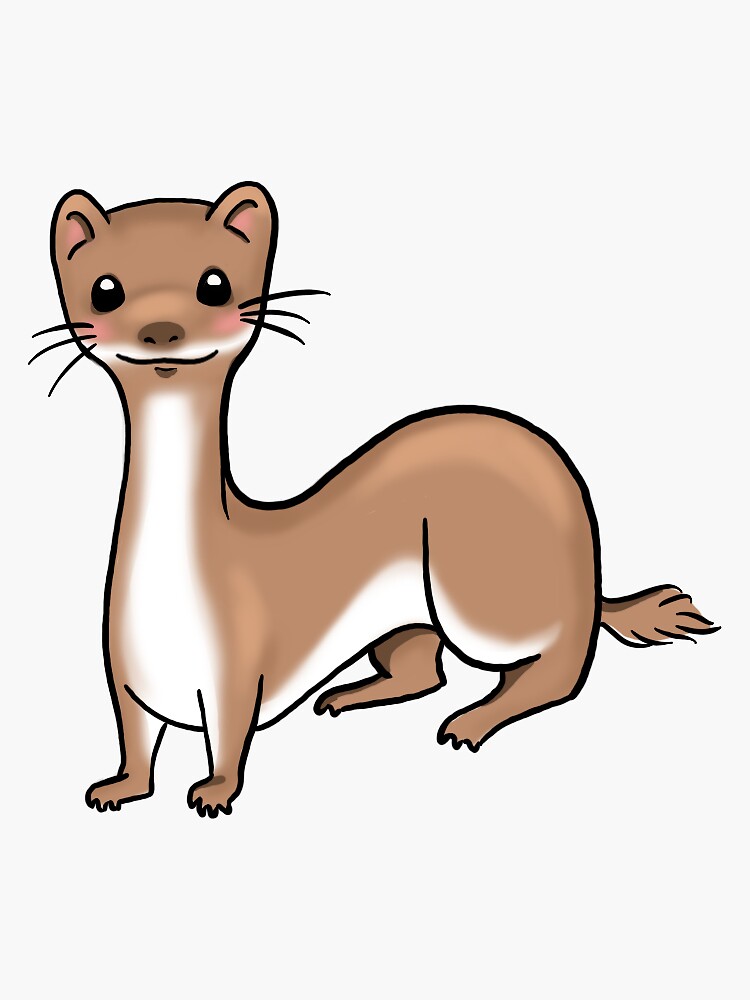 Least Weasel