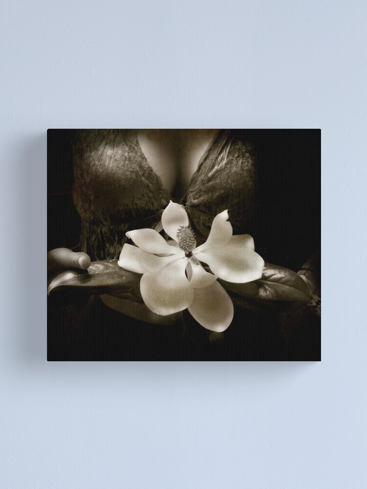 Thumbnail 1 of 3, Canvas Print, Magnolia designed and sold by KatarinaSilva.