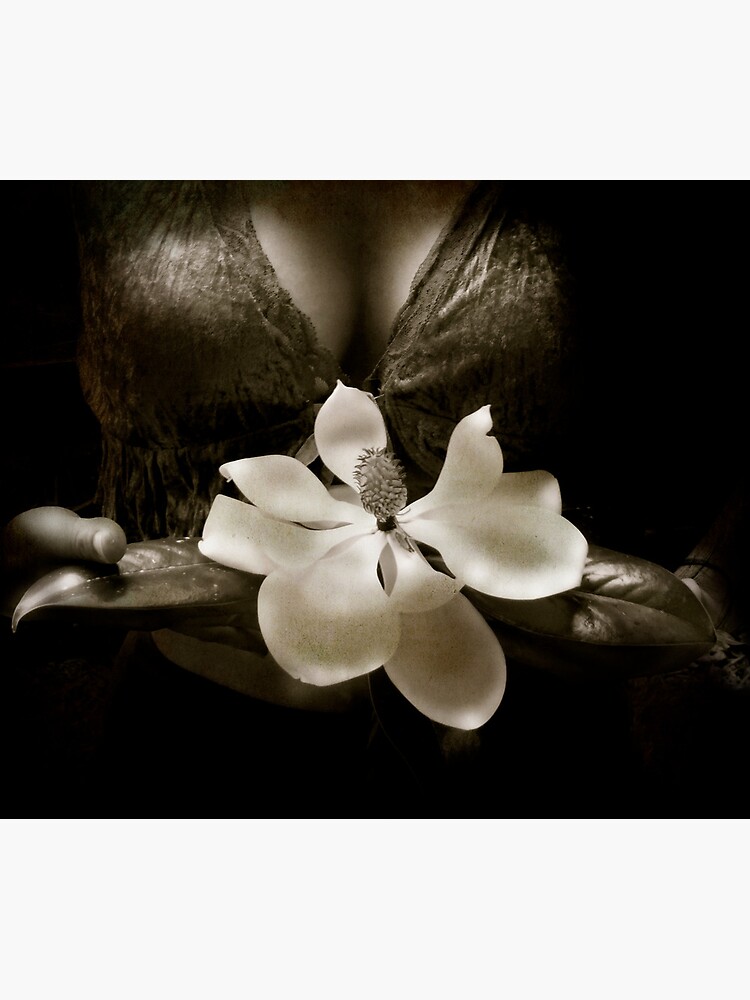Thumbnail 3 of 3, Canvas Print, Magnolia designed and sold by KatarinaSilva.