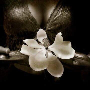 Artwork thumbnail, Magnolia by KatarinaSilva