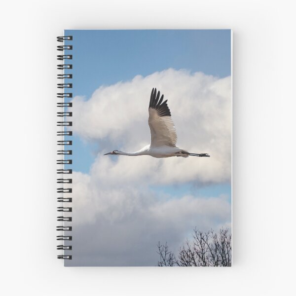 Item preview, Whooping Cranes In Flight 2015-2 designed and sold by Thomasyoung.