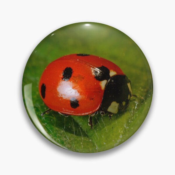 Item preview, Copy of Miss Lady Bug designed and sold by Tadas  Svetikas.