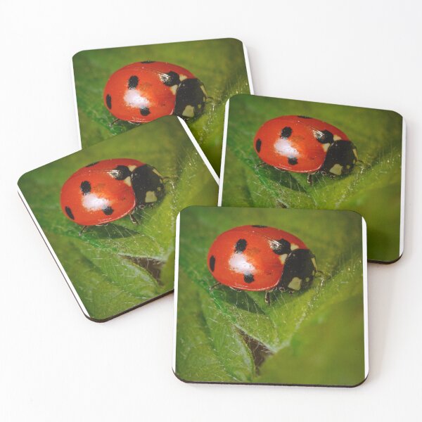 Item preview, Copy of Miss Lady Bug designed and sold by Tadas  Svetikas.