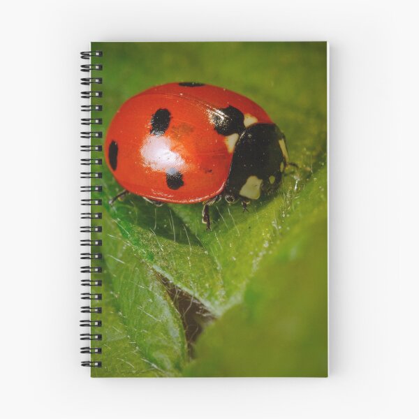 Item preview, Copy of Miss Lady Bug designed and sold by Tadas  Svetikas.