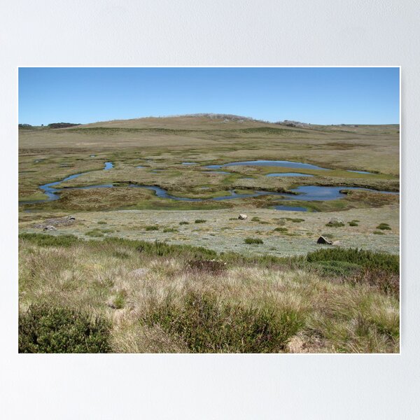 Item preview, Pretty Valley Alpine Victoria designed and sold by DianneLac.