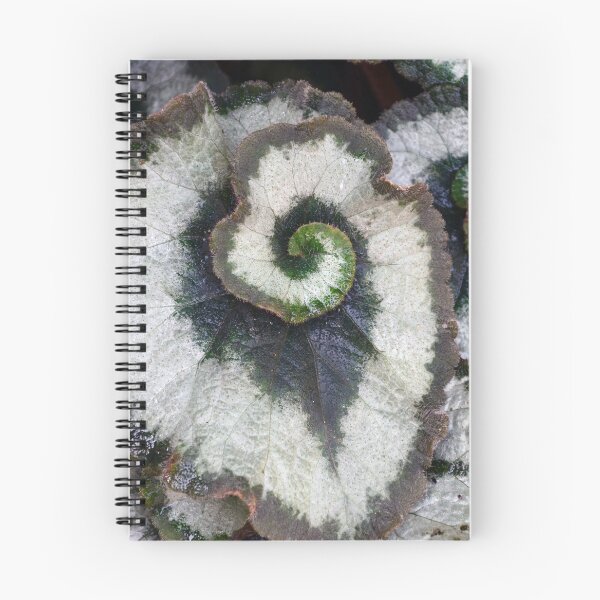 Item preview, Spiral Leaf designed and sold by NancyKHajjar.