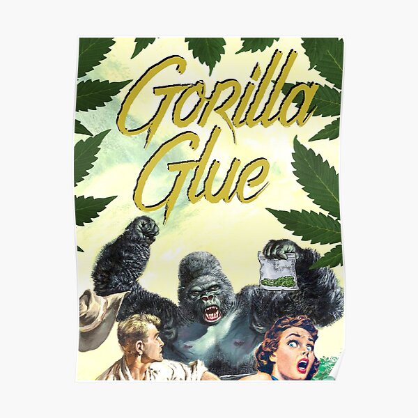 gorilla glue weed strain indica