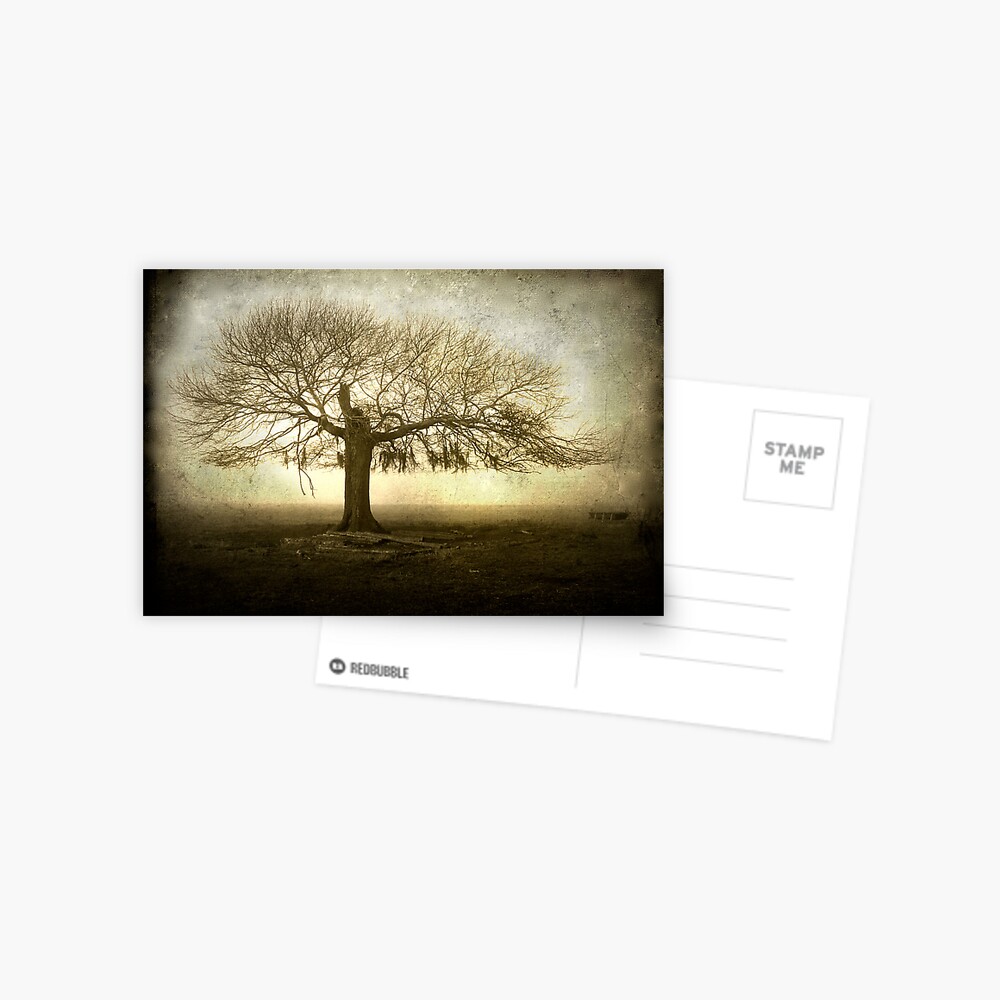 Item preview, Postcard designed and sold by KatarinaSilva.