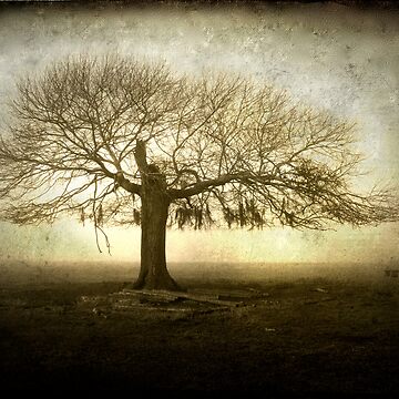 Artwork thumbnail, Tree of Life by KatarinaSilva