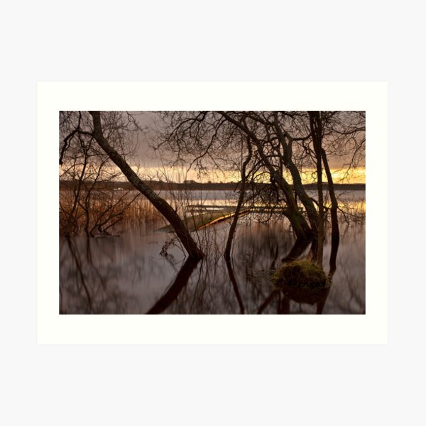Light On The Loch Art Print