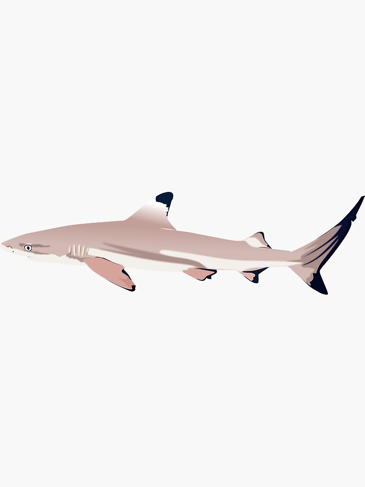Black-tip reef shark | Sticker