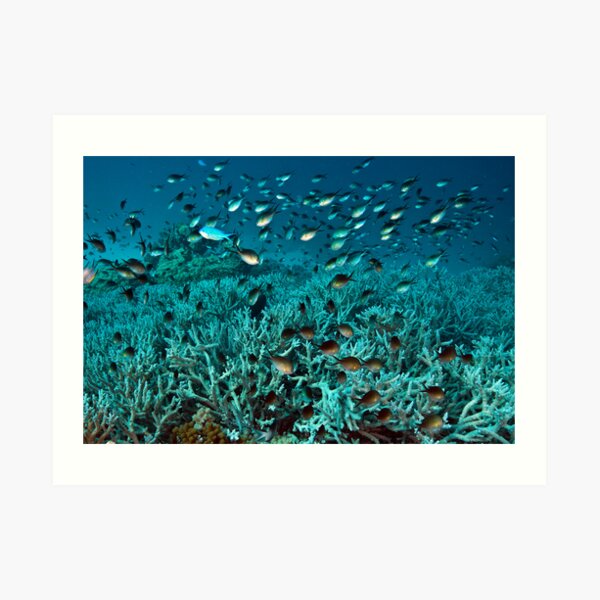 Teeming Art Print