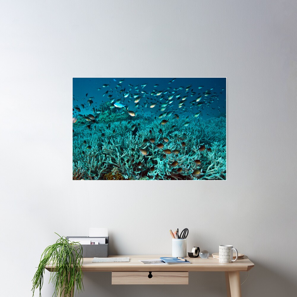 Teeming Poster