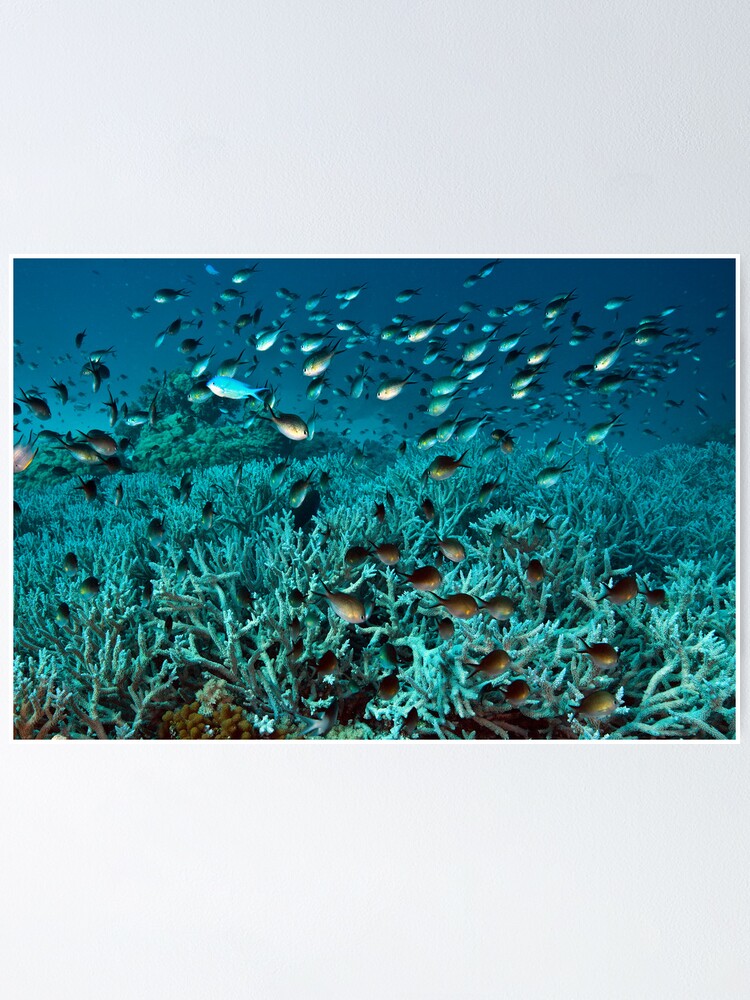 Alternate view of Teeming Poster